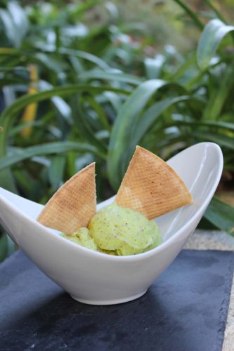 gelado KIWI-DESTAQUE-683x1024